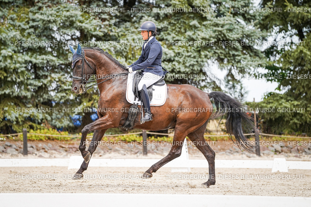 DSC05425 | Pferdegrafie