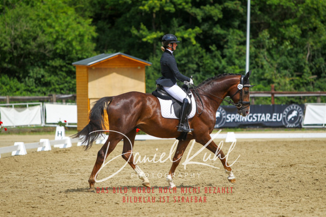 DKP45830 | Turniersportfotografie; Pferdefotografie; Dressurfotografie