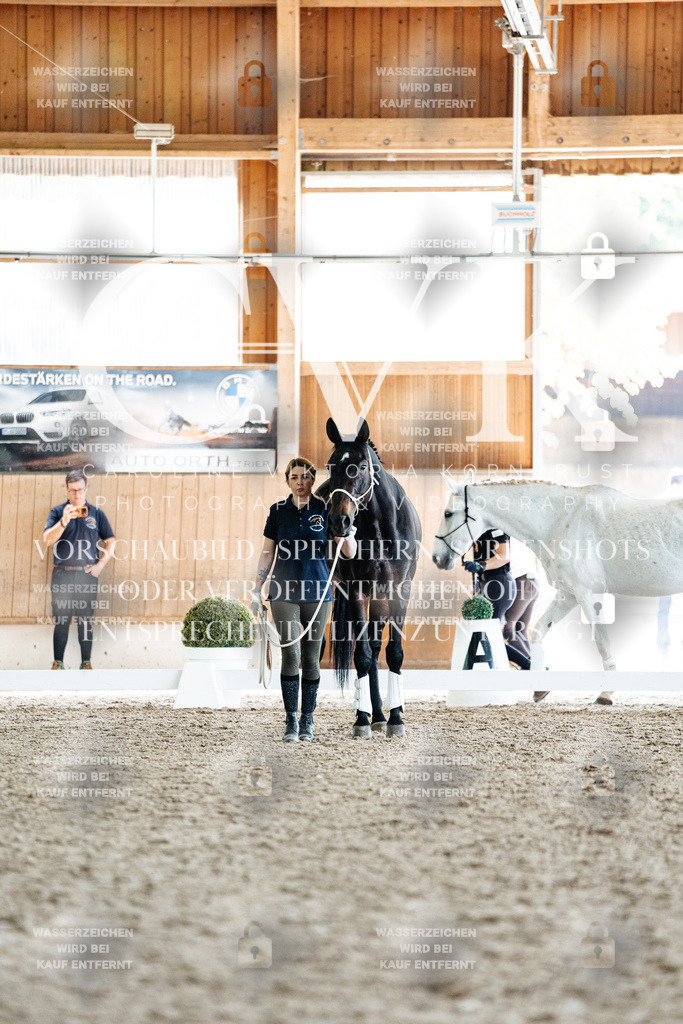 CK908051 | Turnierfotografie Pferdefotografie Trier Rheinland-Pfalz Pferdesport Reitsport Tierfotografie Sportfotografie Pferdevideo Pferdevideografie Equestrianvideography equestrianphotography  - Realisiert mit Pictrs.com