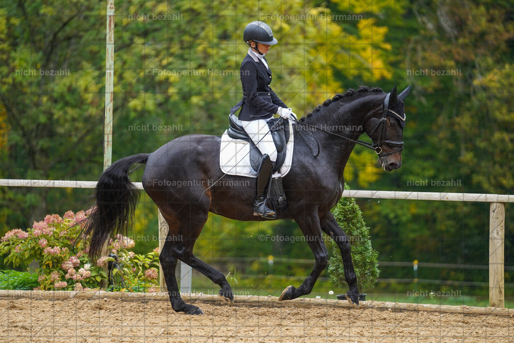 20221008-FAH01919 | Diessen am Ammersee, 2022, Dressur- und Springturnier, Reitsportbilder, Turnierfotografen Bayern, Pferdefotografen, Fotoagentur Herrmann, Turnierbilder