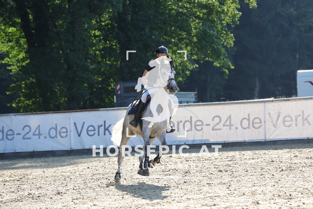 0P6A2125 | Willkommen bei Brunnmayr - Design & Fotografie – Ihrem Spezialisten für Reitturniere und Pferdeveranstaltungen in Oberösterreich, Salzburg und Bayern! Seit über 17 Jahren sind wir leidenschaftlich dabei.