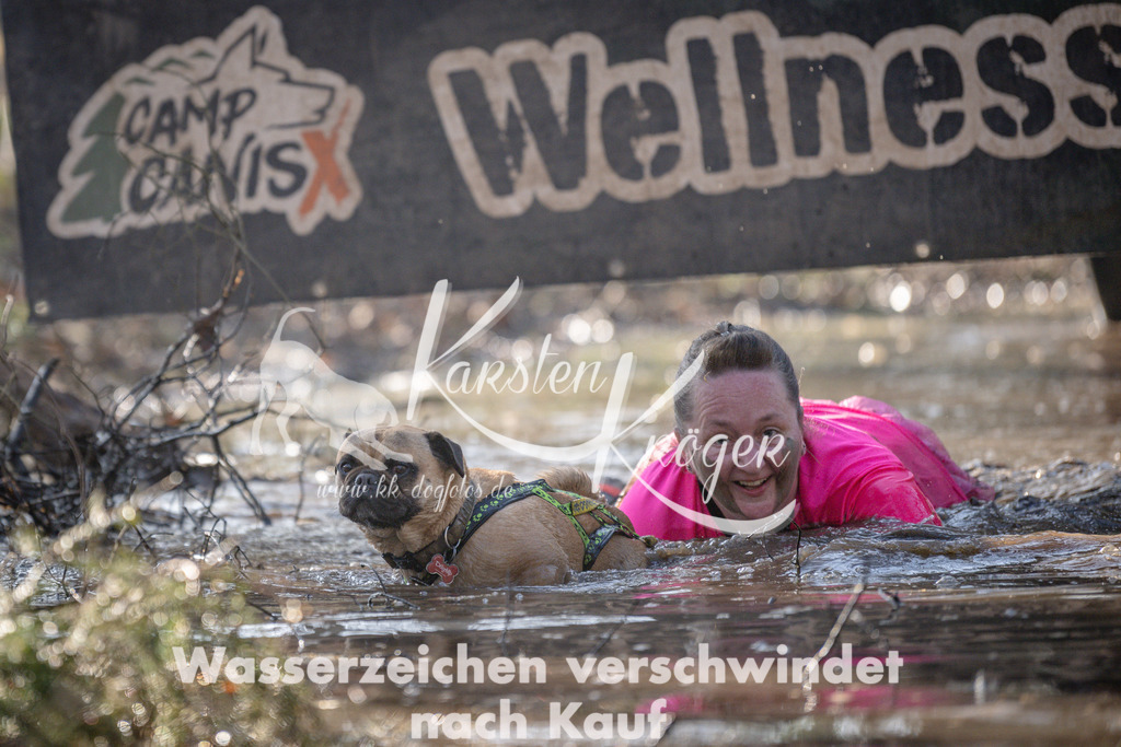 0851DSC_4319 | kk-dogfotos