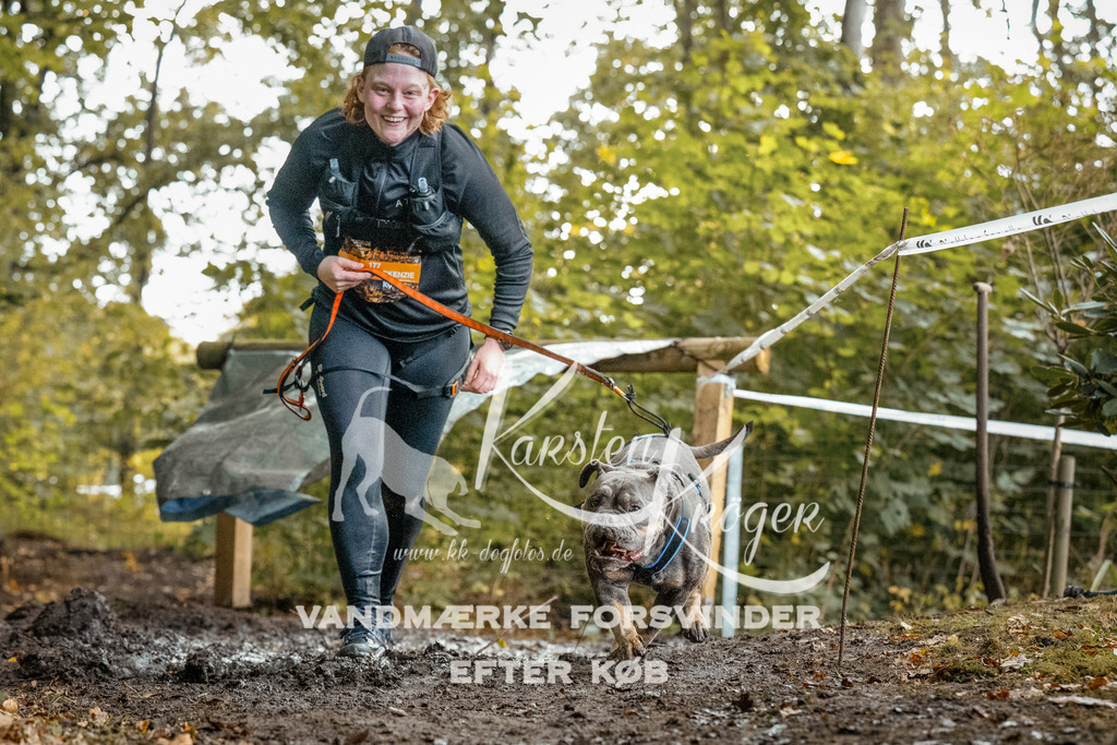 1436DZ6_3215-BearbeitetZ6 | kk-dogfotos