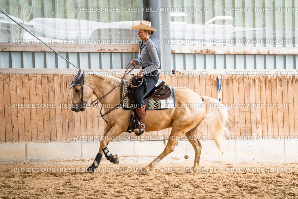 DSC00679 | Pferdegrafie