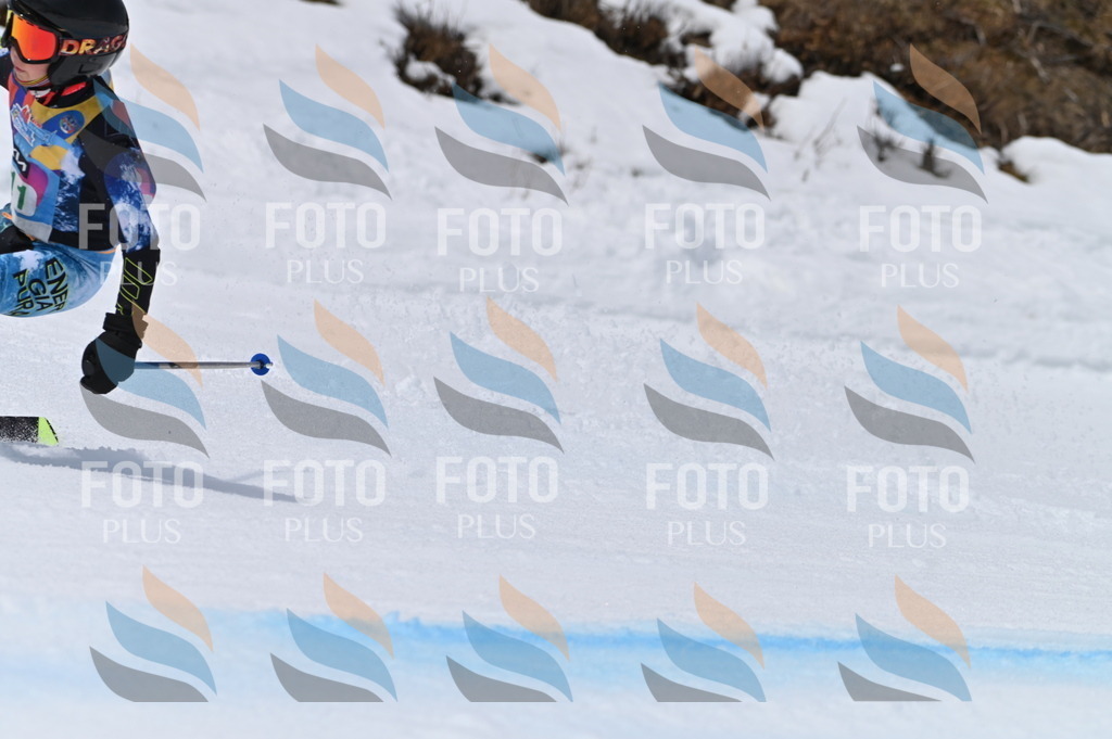 BGV_4093 | holidayphoto