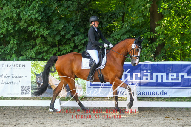 DKP42704 | Turniersportfotografie; Pferdefotografie; Dressurfotografie