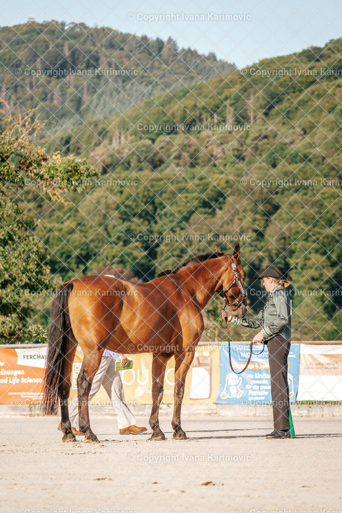 DSC05184 | ikphotography - Realisiert mit Pictrs.com