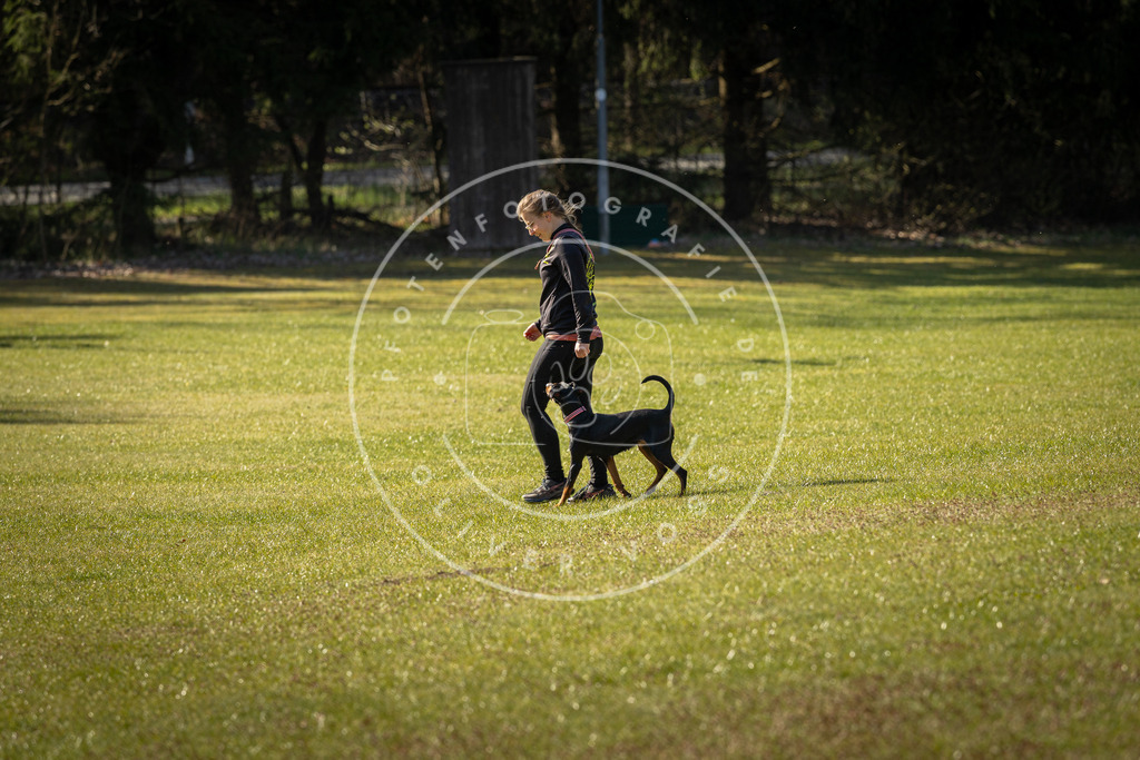 Pfotenfotografie_DV3A0282 | Hundefotografie, Tierfotograf, Pfotenfotografie, Fotoshooting Hund, Hunde Portrait, Hundesport, Hundeportraits, Heideshooting, Hunde, Sportfotograf, Hundefotograf, Turnierhundsport, THS,  - Realisiert mit Pictrs.com