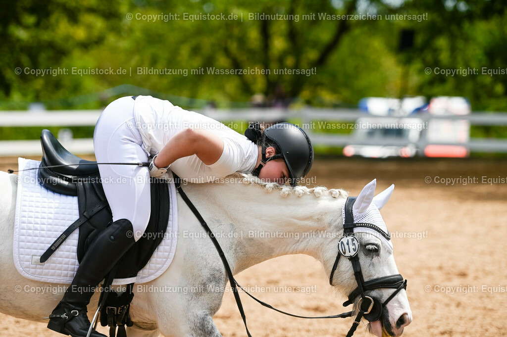 20230715_05_Dressurprüfung Kl.A++_0297 | equistock