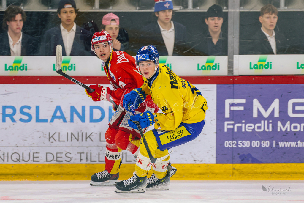 U21_EHCB vs HCD_wb20260308-0568 | Sportbilder, Sportfotograf, Hochzeits- und Eventfotografin, Flugshows, Portraits und Tiershooting, Aviation, Downhill, Nationalleague, Swissleague, International