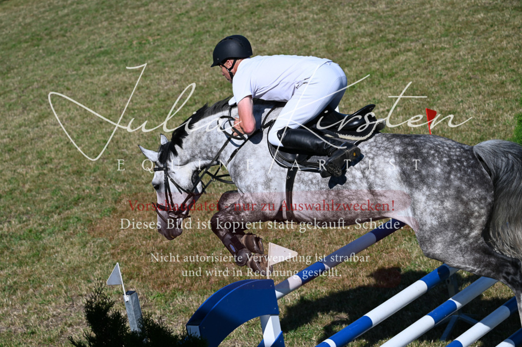 DSC_2230 | Pferde- und Turnierfotografie in Westsachsen. Pferdeportraits, Auftragszeichnungen und intuitive Kunst.