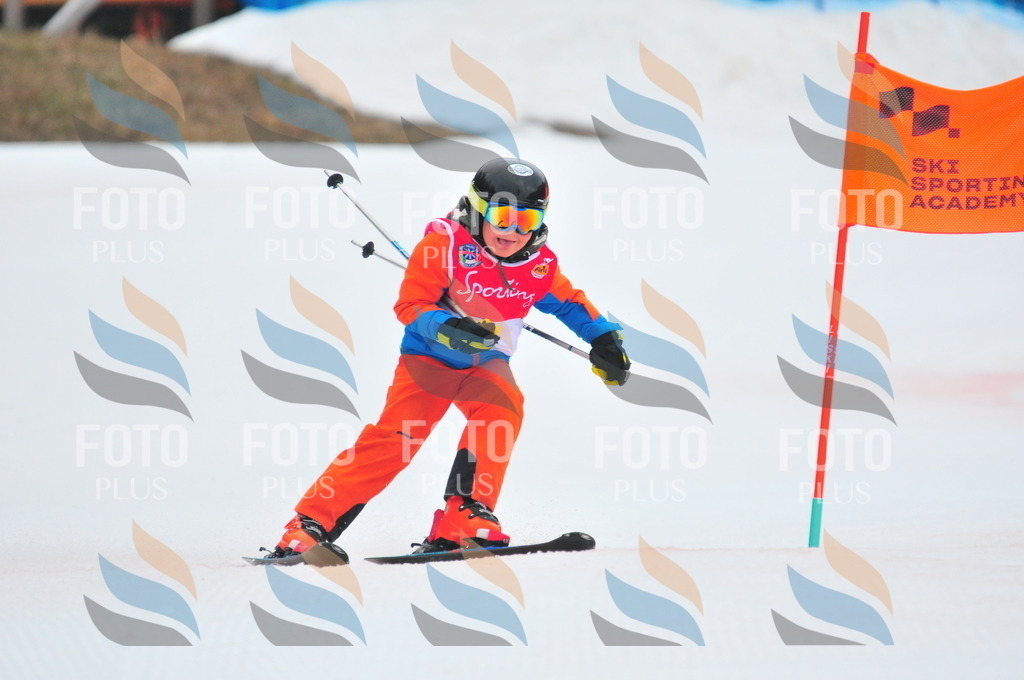 C0443 | holidayphoto