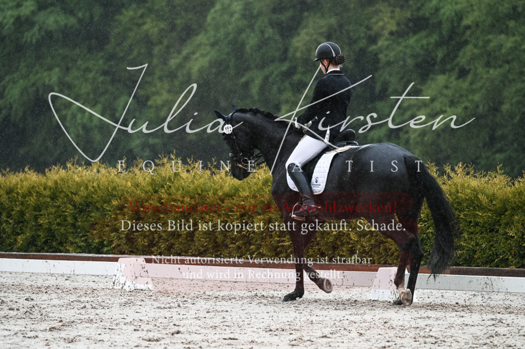 DSC_4722 | Pferde- und Turnierfotografie in Westsachsen. Pferdeportraits, Auftragszeichnungen und intuitive Kunst.