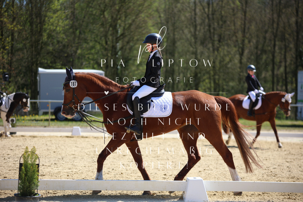 IMGT1291 | pl-fotografie