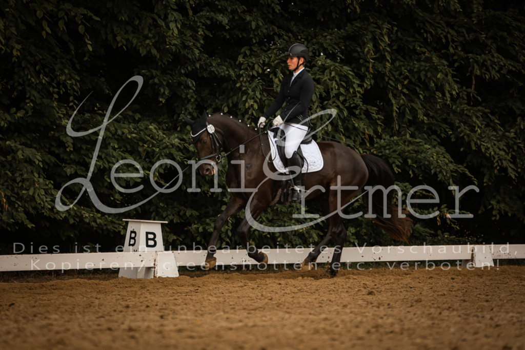 DoDrA200319 | Leoni Ertmer Photography - Realisiert mit Pictrs.com