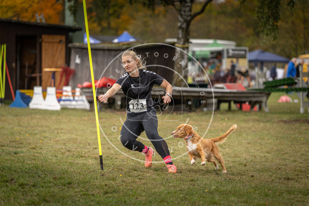 Pfotenfotografie_DV3A7217 | Hundefotografie, Tierfotograf, Pfotenfotografie, Fotoshooting Hund, Hunde Portrait, Hundesport, Hundeportraits, Heideshooting, Hunde, Sportfotograf, Hundefotograf, Turnierhundsport, THS,  - Realisiert mit Pictrs.com