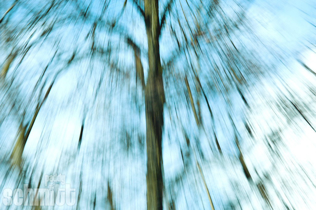 PS-Blur-2026-04 | Entdecke die größte Bildgalerie der Region mit Fotografien aus dem Allgäu, der Bodenseeregion, Oberschwaben, dem Donautal und der Schwäbischen Alb. Landschaften, Luftaufnahmen und Reisefotografie als Wandbild und Fotokunst. - Realisiert mit Pictrs.com