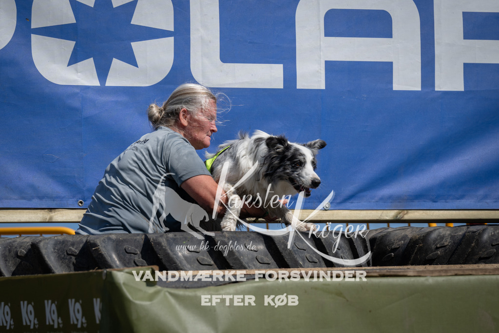 1209_ZZ94216 | kk-dogfotos