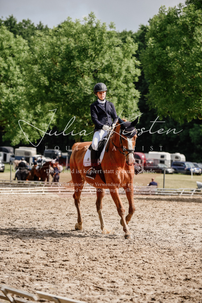 DSC_0014 | Pferde- und Turnierfotografie in Westsachsen. Pferdeportraits, Auftragszeichnungen und intuitive Kunst.