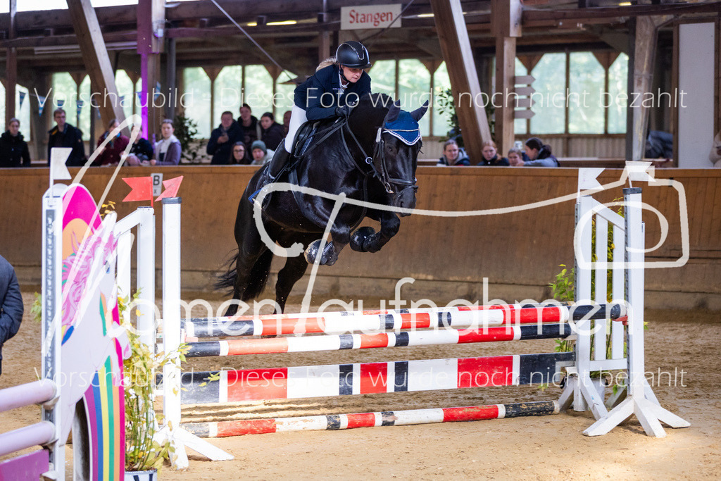 Sth-A-Springen-100 | MomenTaufnahmen Pferdesportfotos