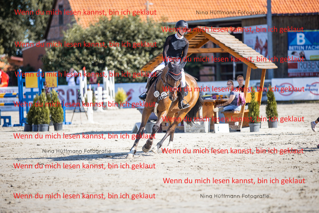 BK1A7138 | Turnierbilder Turnierfotos Nina Hüffmann Turnierfotografie Pferdefotografie Tierzeichnung Haustierzeichnung Pferdezeichnung Hundezeichnung Videograf  - Realisiert mit Pictrs.com