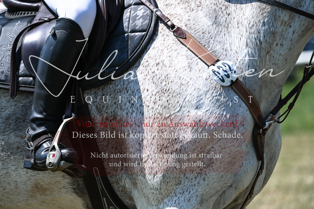 DSC_0295 | Pferde- und Turnierfotografie in Westsachsen. Pferdeportraits, Auftragszeichnungen und intuitive Kunst.