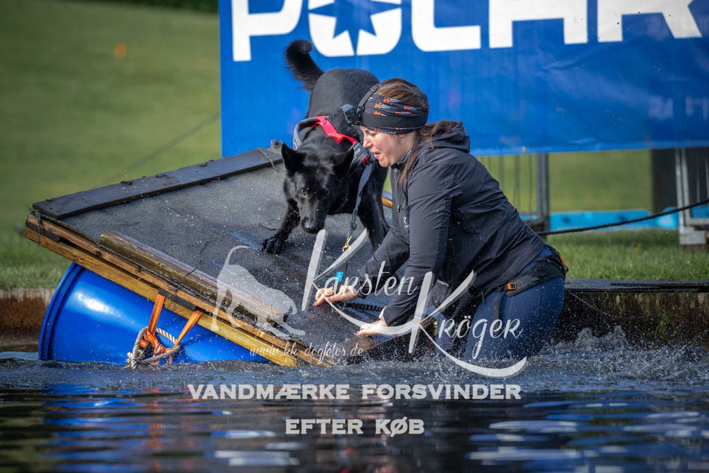 _ZZ943540715 | kk-dogfotos