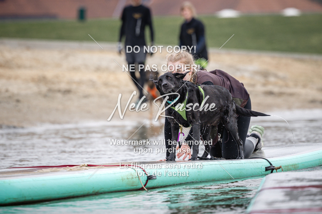 nelerasche_Hulsbeek_Sa1130-1230_399 | nelerasche