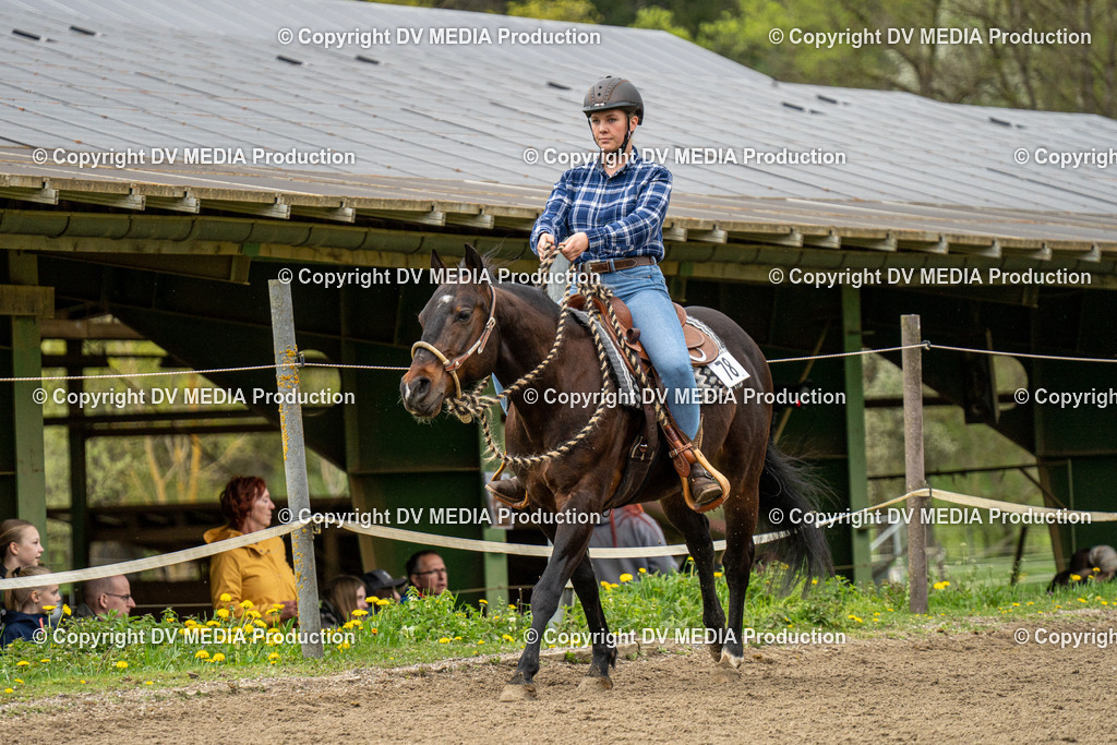 BAL00831 | dv-media-shop - Realisiert mit Pictrs.com