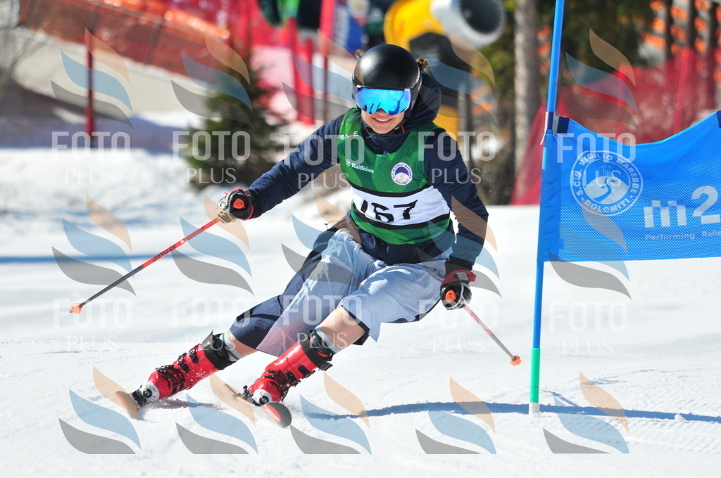 C4188 | holidayphoto