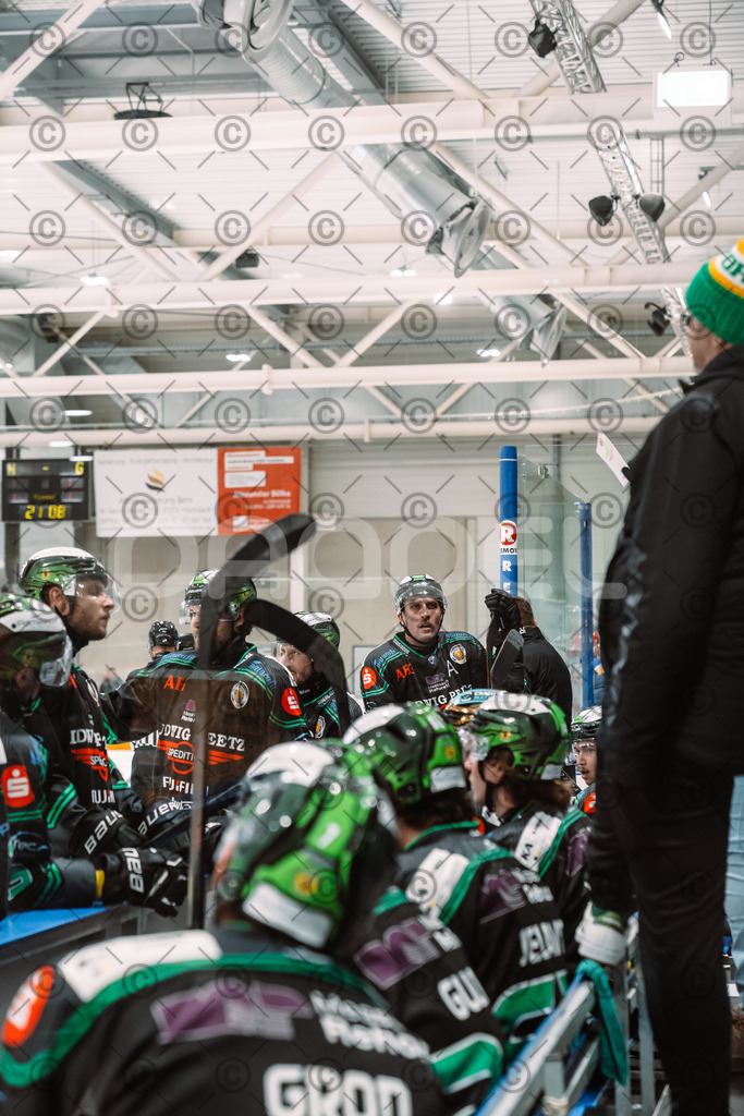 Alligators_vs_Peiting_25_11_2025-61 | Höchstadt Alligators Fotogalerie: Eishockey-Action aus Franken. Professionelle Spielfotos, Portraits & Stadionbilder zum Download. Jetzt entdecken! - Realisiert mit Pictrs.com