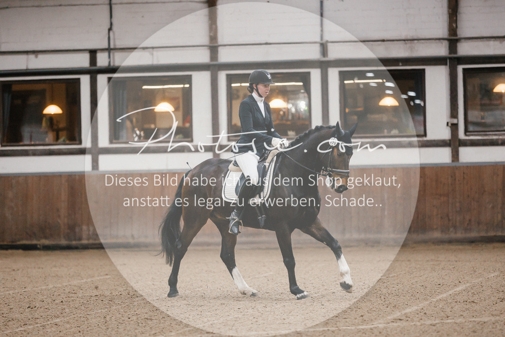 3I6A5799 | Stimmungsvolle Portraits und Reitsportfotografie im Ruhrgebiet und im Münsterland.

Pferdefotografie, Hundefotografie, Tierfotografie, Reportagen, Portraits von Tier und Mensch, Turnierfotografie in Bochum, Recklinghausen, Marl, Haltern am See, Dülmen.. - Realisiert mit Pictrs.com