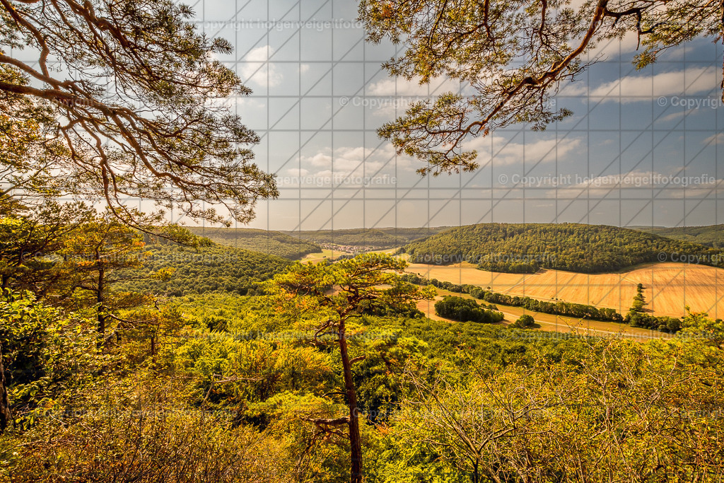 20220828110940D75_7767-2 | Kaufen sie online außergewöhnliche Fotografien auf Leinwand Acrylglas Fotoprint Aludibond von holgerweigeltfotografie - Realisiert mit Pictrs.com