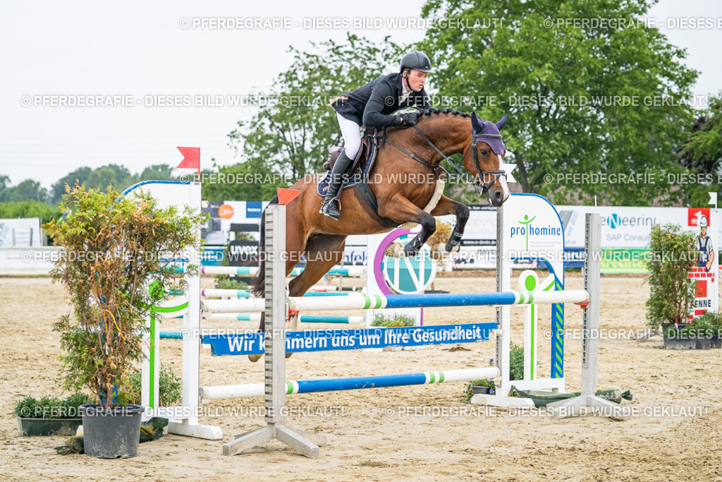 DSC00599 | Pferdegrafie