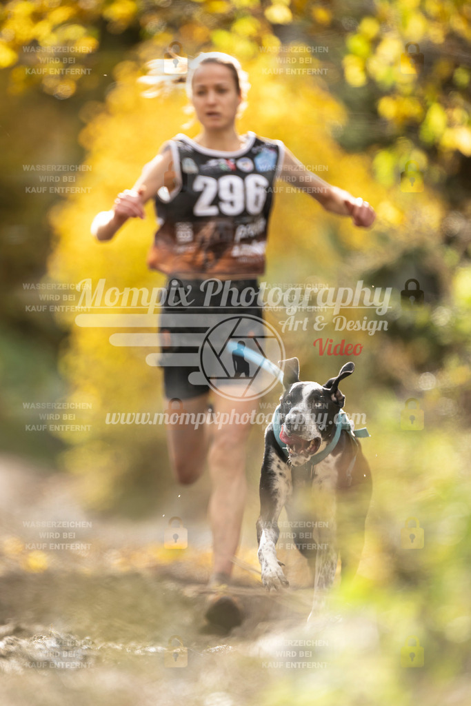 MompixPhotography_ICF_WC_2024_SA_Run_-136 | PayLife