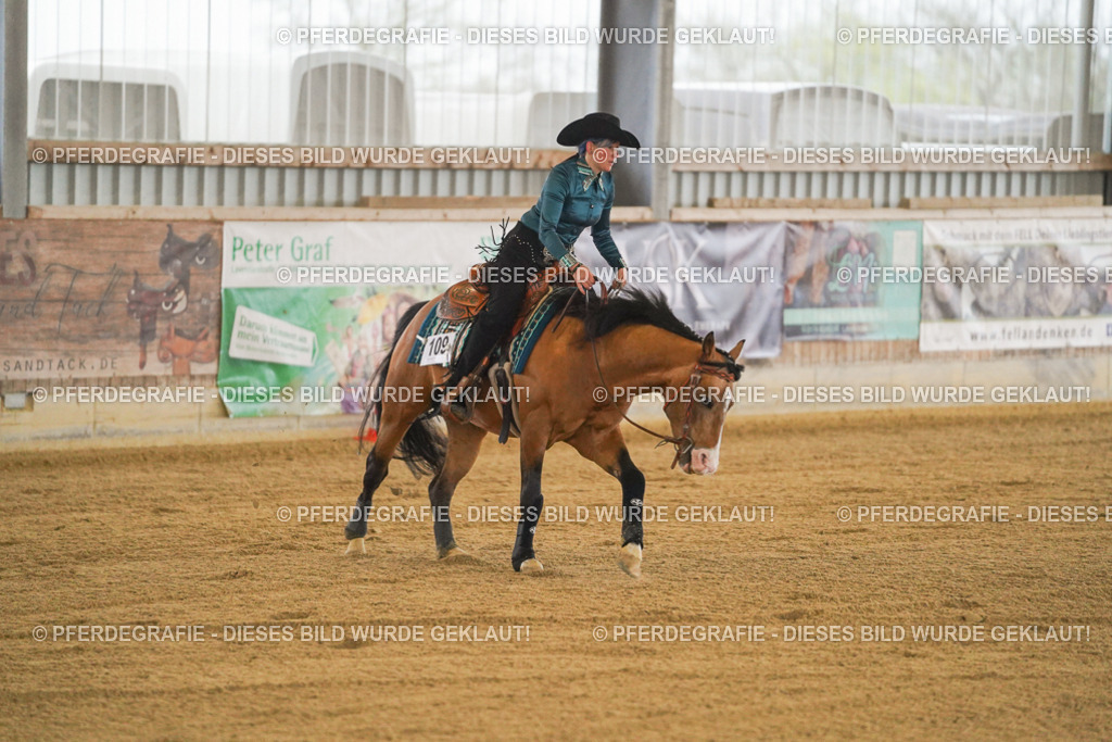 DSC09792 | Pferdegrafie