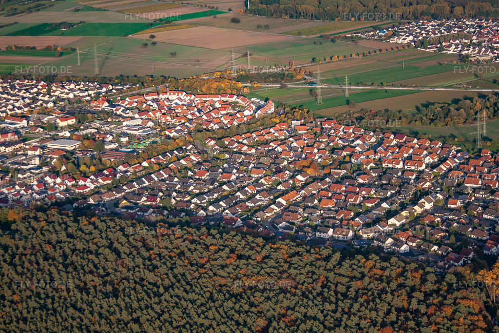 Luftbild: Ortsansicht von Süden in Rülzheim im Bundesland Rheinland-Pfalz in Deutschland. Foto: IMG_60261.jpg vom 22.10.2013 durch Werner Riehm/FLY-FOTO.de