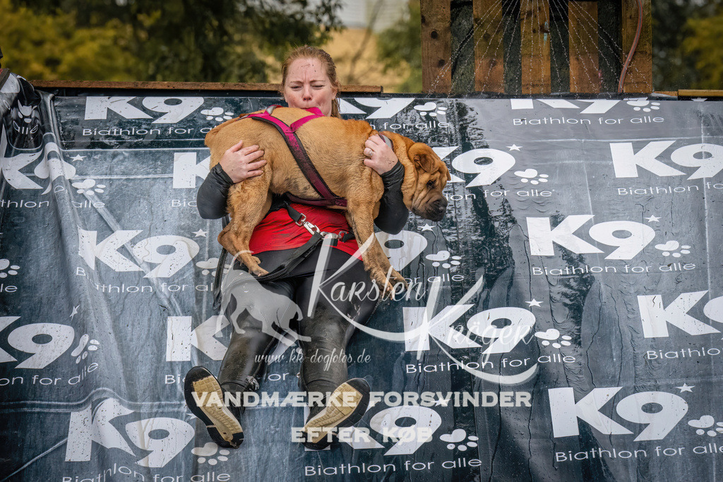 1206_ZZ94317 | kk-dogfotos