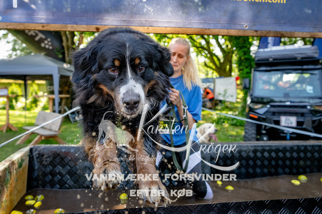 1550_ZZ90228 | kk-dogfotos