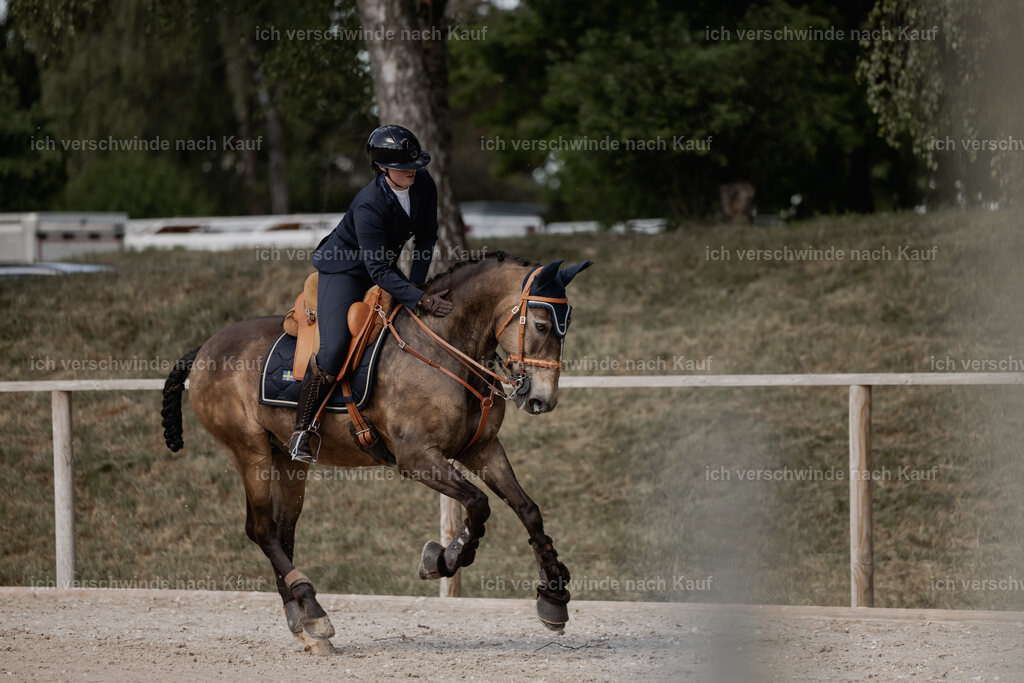 WE_ST_Stoib_329_PI2025_1401 | 330Pferd International München 2025