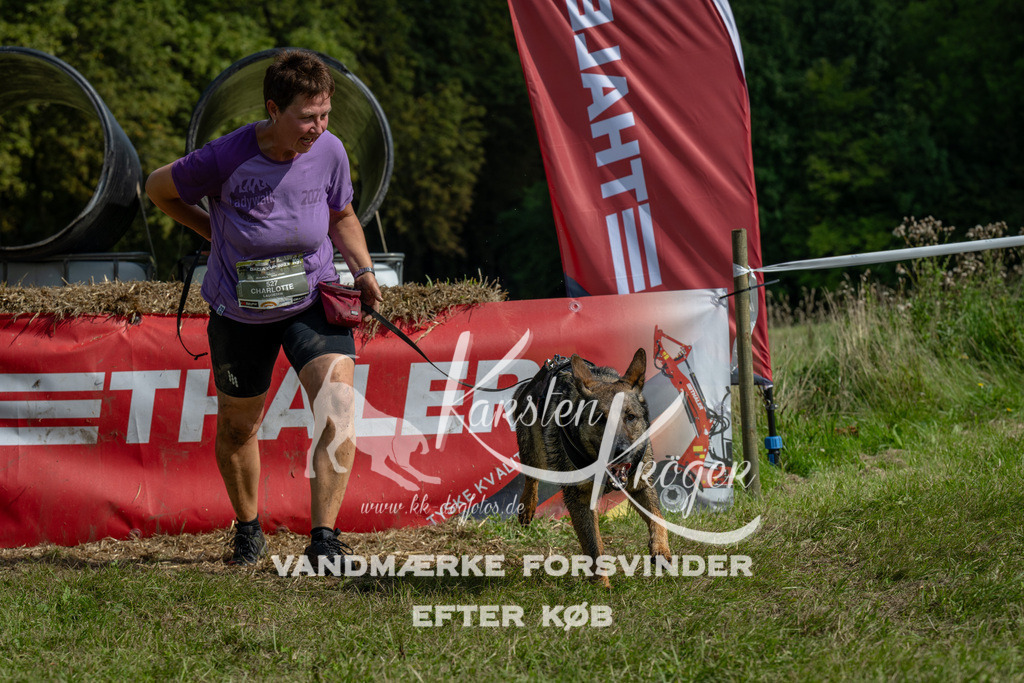 1252_ZZ91368 | kk-dogfotos