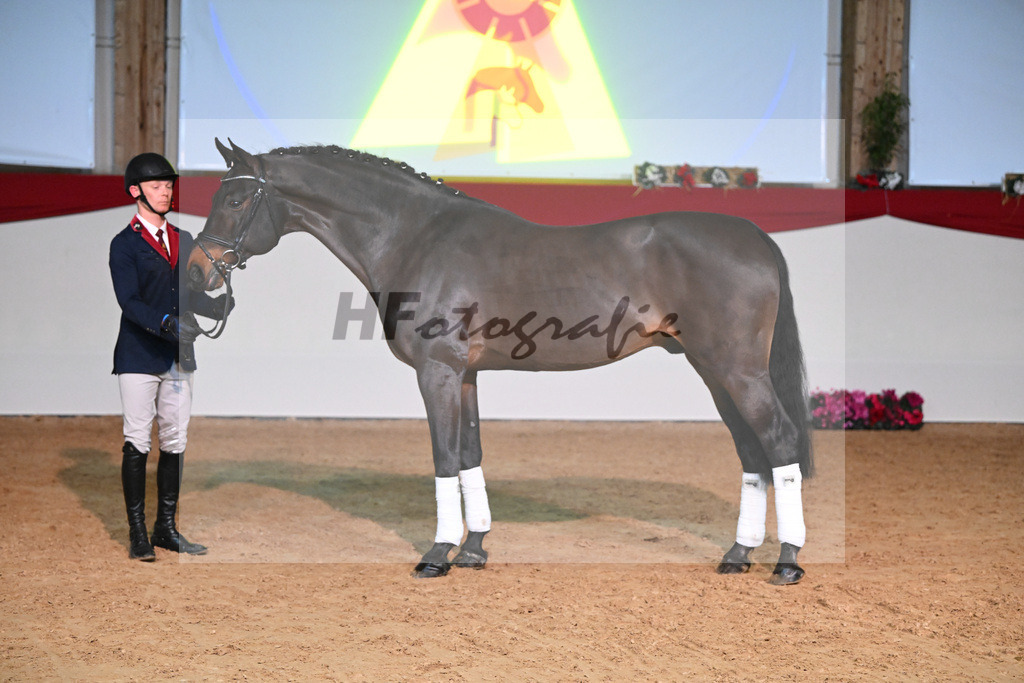 Chacco Chacco_1235106 | hf-fotografie - Realisiert mit Pictrs.com