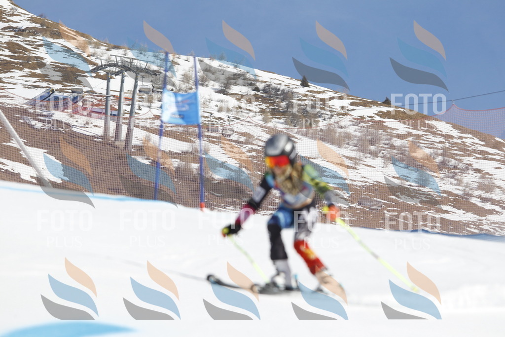 _U3G8565 | holidayphoto