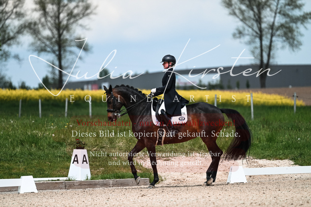 20230514_JK-Röhrsdorf-21-068 | Pferde- und Turnierfotografie in Westsachsen. Pferdeportraits, Auftragszeichnungen und intuitive Kunst.