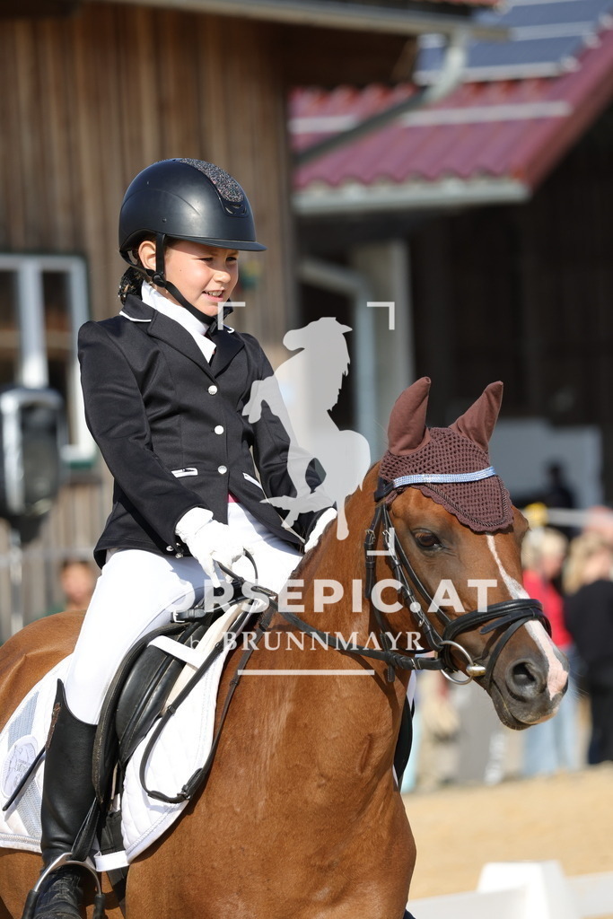 0P6A8091 | Willkommen bei Brunnmayr - Design & Fotografie – Ihrem Spezialisten für Reitturniere und Pferdeveranstaltungen in Oberösterreich, Salzburg und Bayern! Seit über 17 Jahren sind wir leidenschaftlich dabei.
