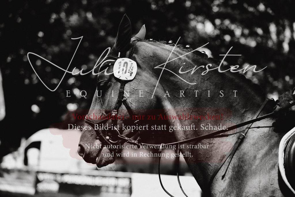 DSC_6519 | Pferde- und Turnierfotografie in Westsachsen. Pferdeportraits, Auftragszeichnungen und intuitive Kunst.