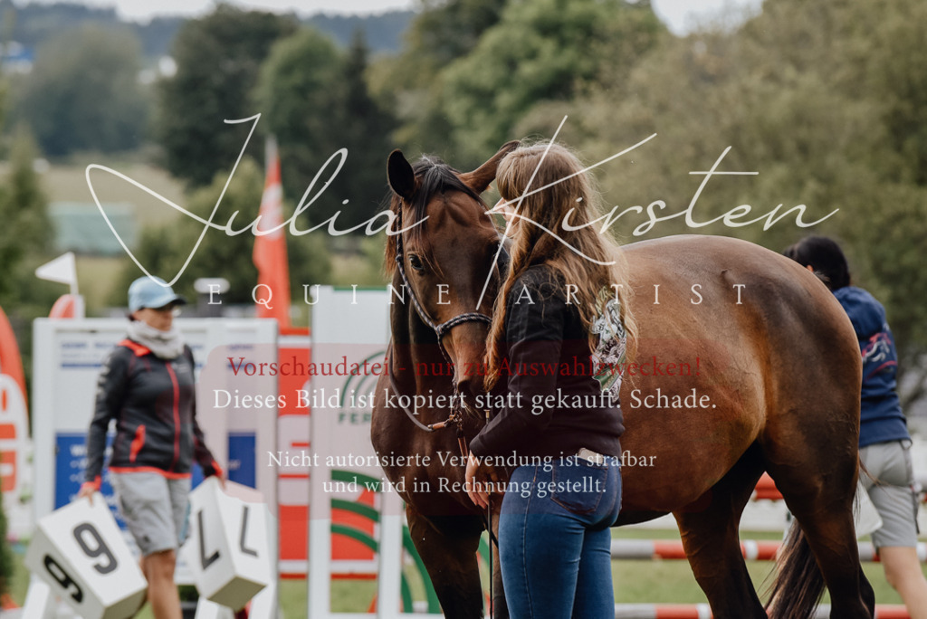 DSC_4021 | Pferde- und Turnierfotografie in Westsachsen. Pferdeportraits, Auftragszeichnungen und intuitive Kunst.