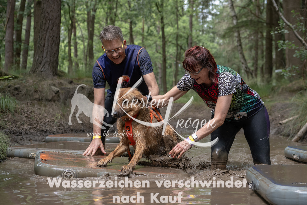 1335_ZZ94786 | kk-dogfotos