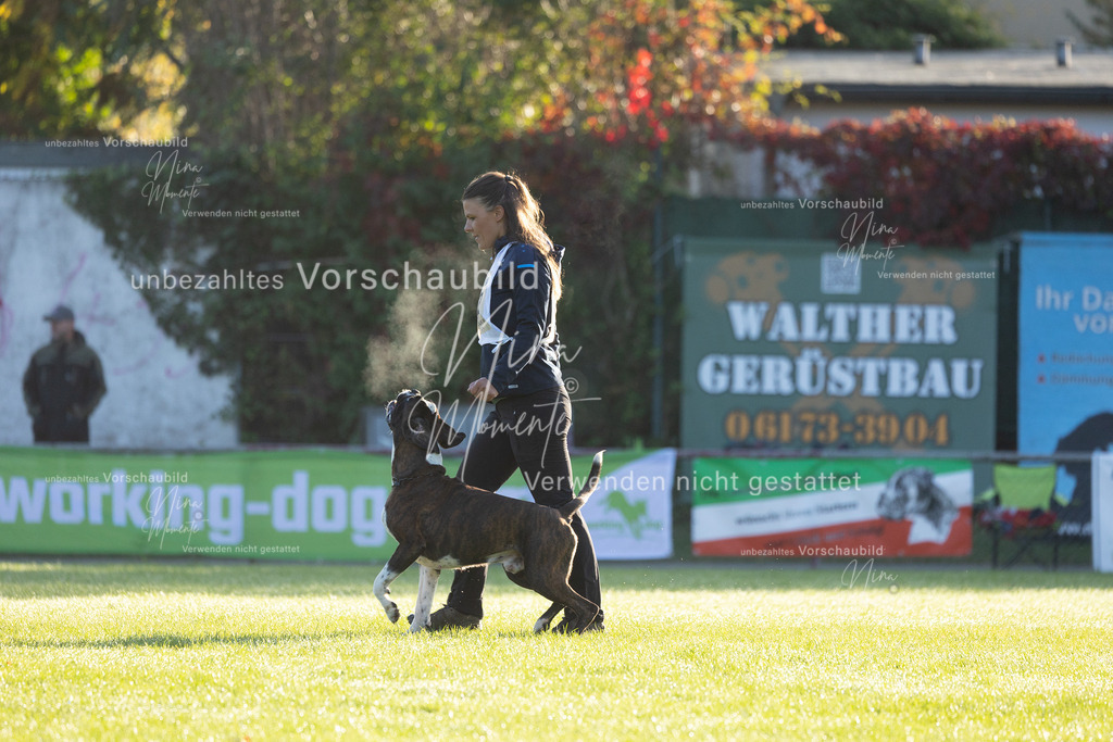 _16A6056 | Einzigartige Fotos von Hunden & Menschen –Actionfotos, Portraits, Vereinsaufnahmen & Paarshootings – authentisch, lebendig & mit Herz.