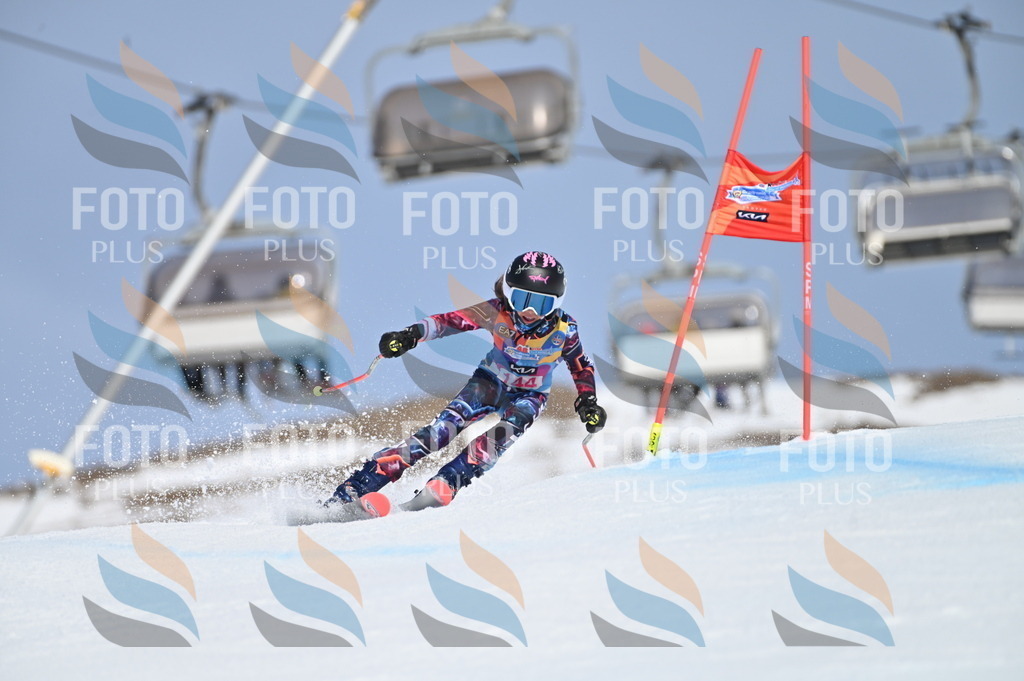 BGV_0209 | holidayphoto